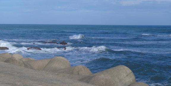 ねねの写メ日記