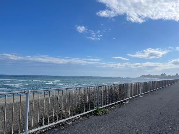 ねねの写メ日記