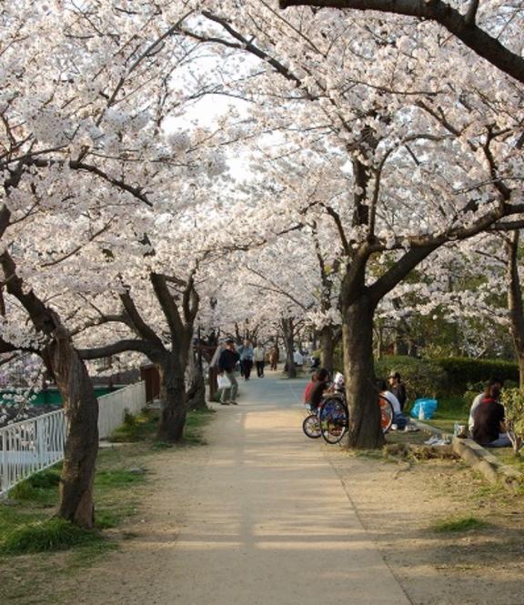 なつみの写メ日記