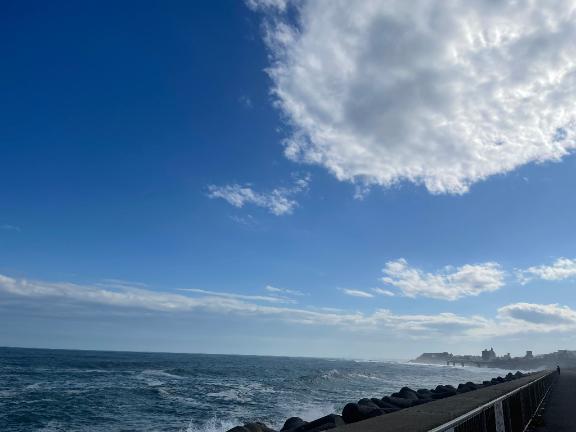 ねねの写メ日記