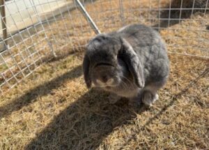 れいか｜水戸デリヘルの写メ日記