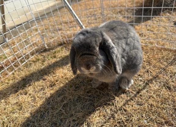 れいかの写メ日記