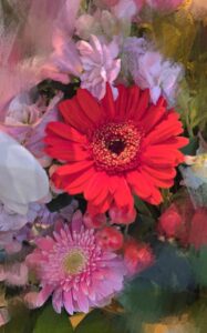 ãŸãïœæ°Žæžããªãã«ã®åã¡æ¥èš