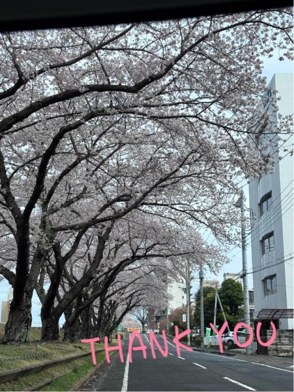 ちかの写メ日記