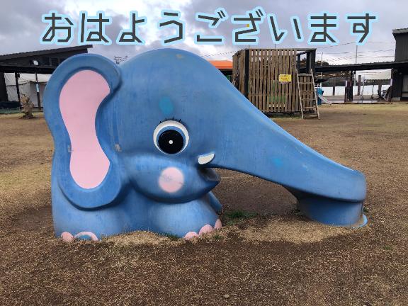 さやかの写メ日記