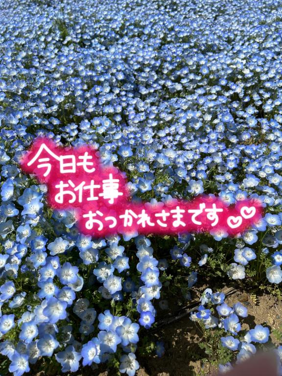 なつみの写メ日記