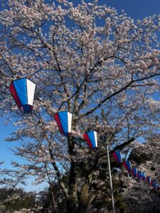 れい【業界未経験】|水戸デリヘルの写メ日記