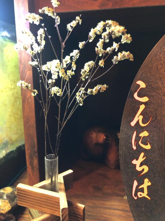 さやかの写メ日記