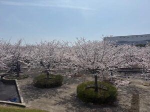 なつみ|水戸デリヘルの写メ日記