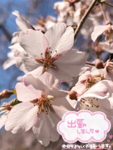 さやか【業界未経験】|水戸デリヘルの写メ日記