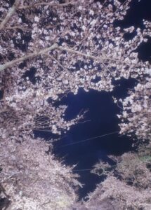 まり｜水戸デリヘルの写メ日記