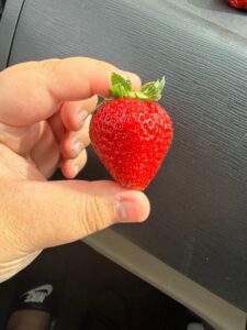 あこ【業界未経験】｜水戸デリヘルの写メ日記