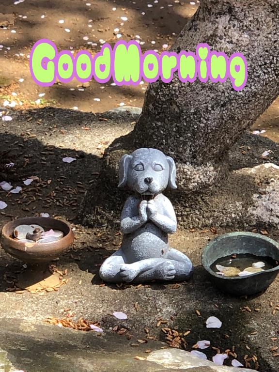 さやかの写メ日記