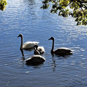 しゅんか【業界未経験】｜水戸デリヘルの写メ日記