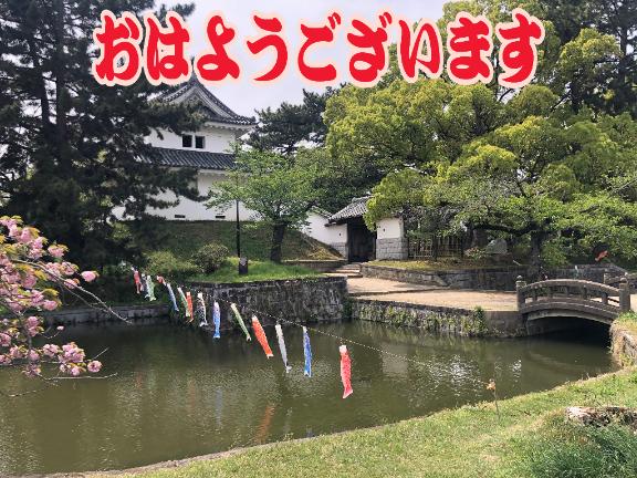 さやかの写メ日記