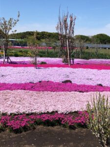 なつみ｜水戸デリヘルの写メ日記