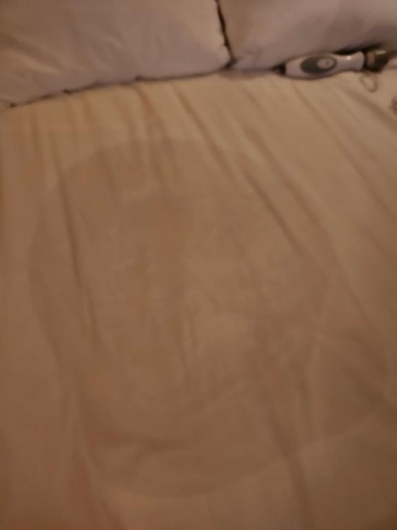 しゅんかの写メ日記