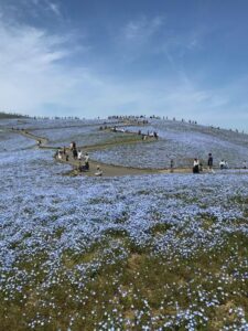 まい【業界未経験】｜水戸デリヘルの写メ日記