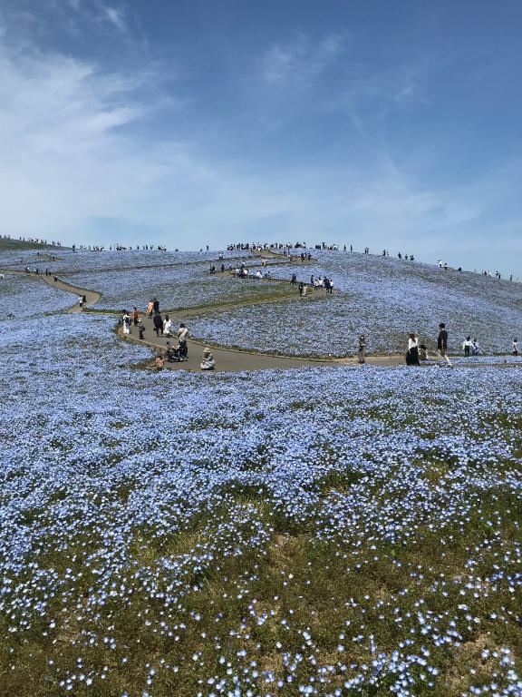 まいの写メ日記