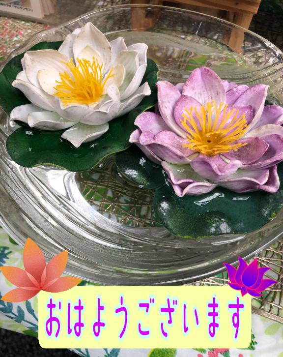 さやかの写メ日記