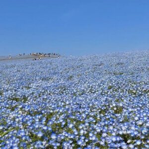 りか【業界未経験】｜水戸デリヘルの写メ日記