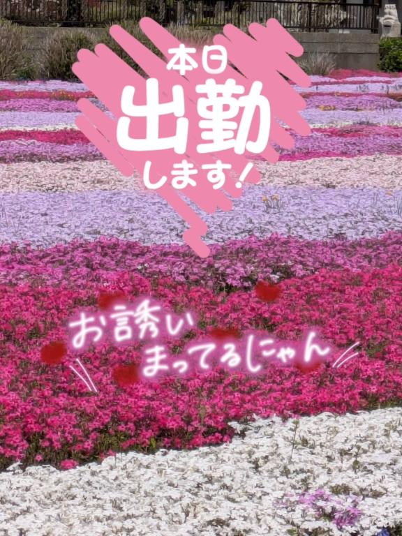 なつみの写メ日記