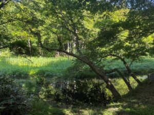 ほの｜水戸デリヘルの写メ日記