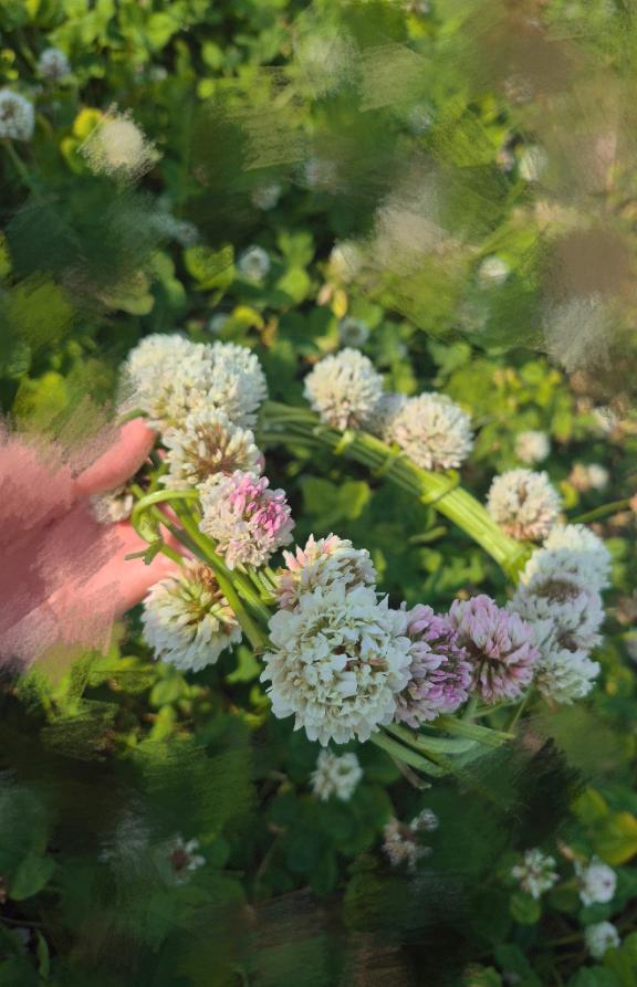 まりの写メ日記