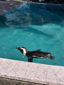 まり｜水戸デリヘルの写メ日記