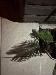りか【業界未経験】｜水戸デリヘルの写メ日記