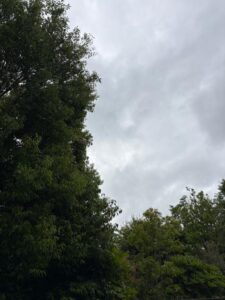 りか【業界未経験】｜水戸デリヘルの写メ日記