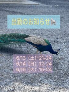 ちか｜水戸デリヘルの写メ日記
