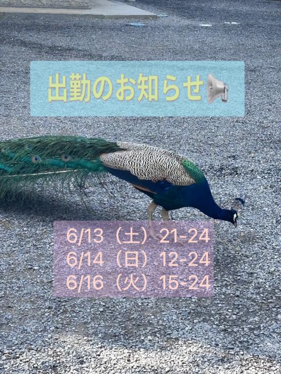 ちかの写メ日記
