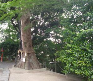 あやね【業界未経験】|水戸デリヘルの写メ日記