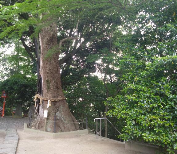 あやねの写メ日記