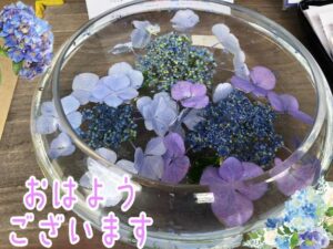 さやか【業界未経験】｜水戸デリヘルの写メ日記