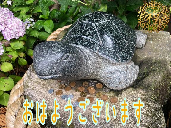 さやかの写メ日記