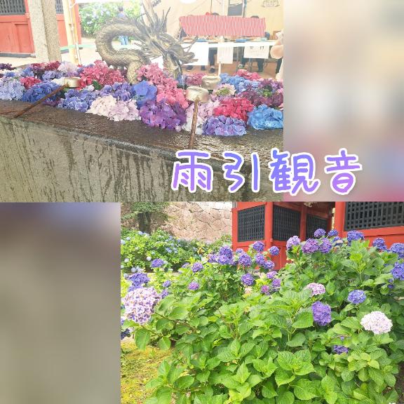 ここなの写メ日記