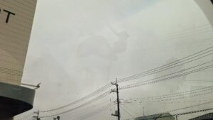 ここな｜水戸デリヘルの写メ日記