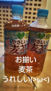 ねお【業界未経験】｜水戸デリヘルの写メ日記