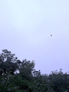 しほ【業界未経験】｜水戸デリヘルの写メ日記
