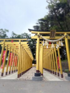 しほ【業界未経験】|水戸デリヘルの写メ日記