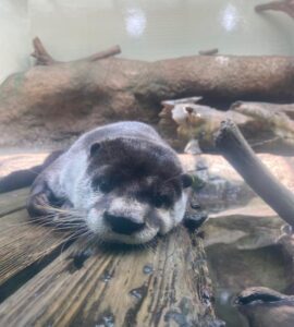 りか【業界未経験】｜水戸デリヘルの写メ日記