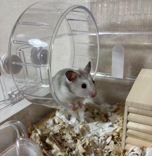 めあの写メ日記