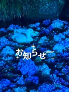ちか|水戸デリヘルの写メ日記
