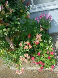 もも【業界未経験】|水戸デリヘルの写メ日記