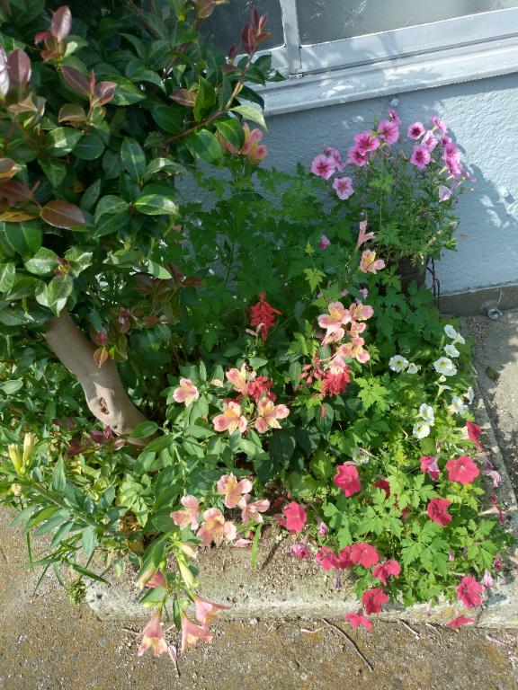 ももの写メ日記