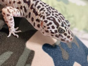 みお｜水戸デリヘルの写メ日記