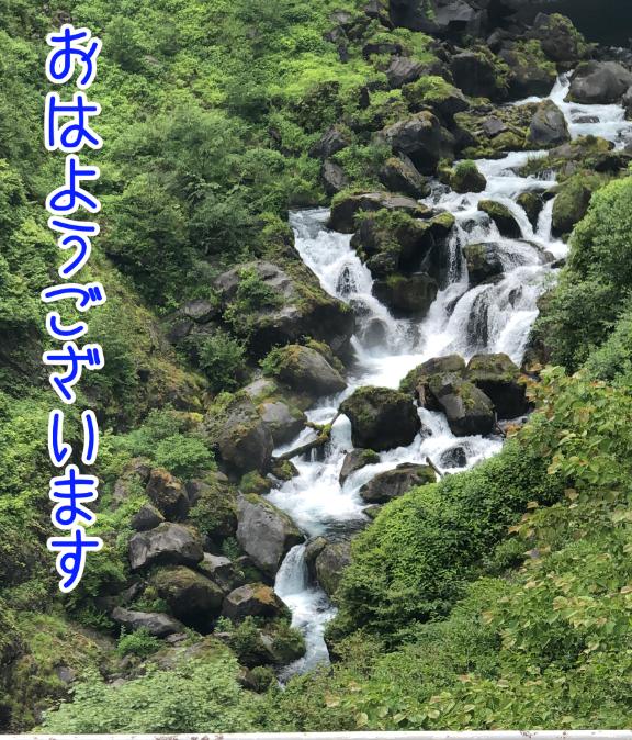 さやかの写メ日記