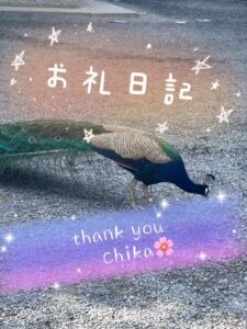ちか｜水戸デリヘルの写メ日記